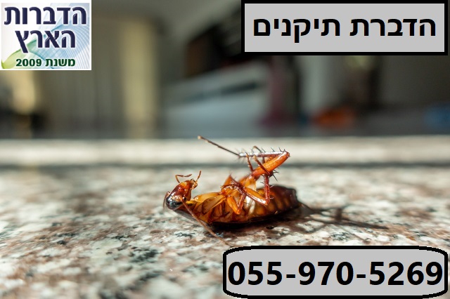 הדברת תיקנים