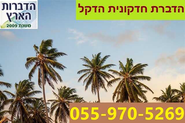 הדברת חדקונית הדקל