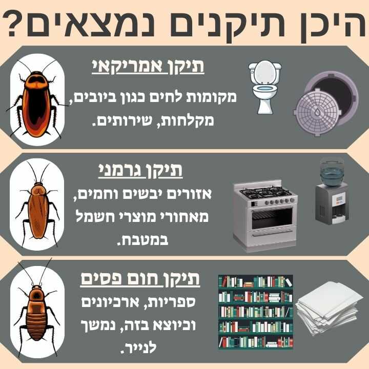 היכן תיקנים נמצאים