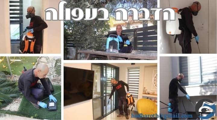 הדברה בעפולה